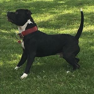 Meet your Posher, Artez